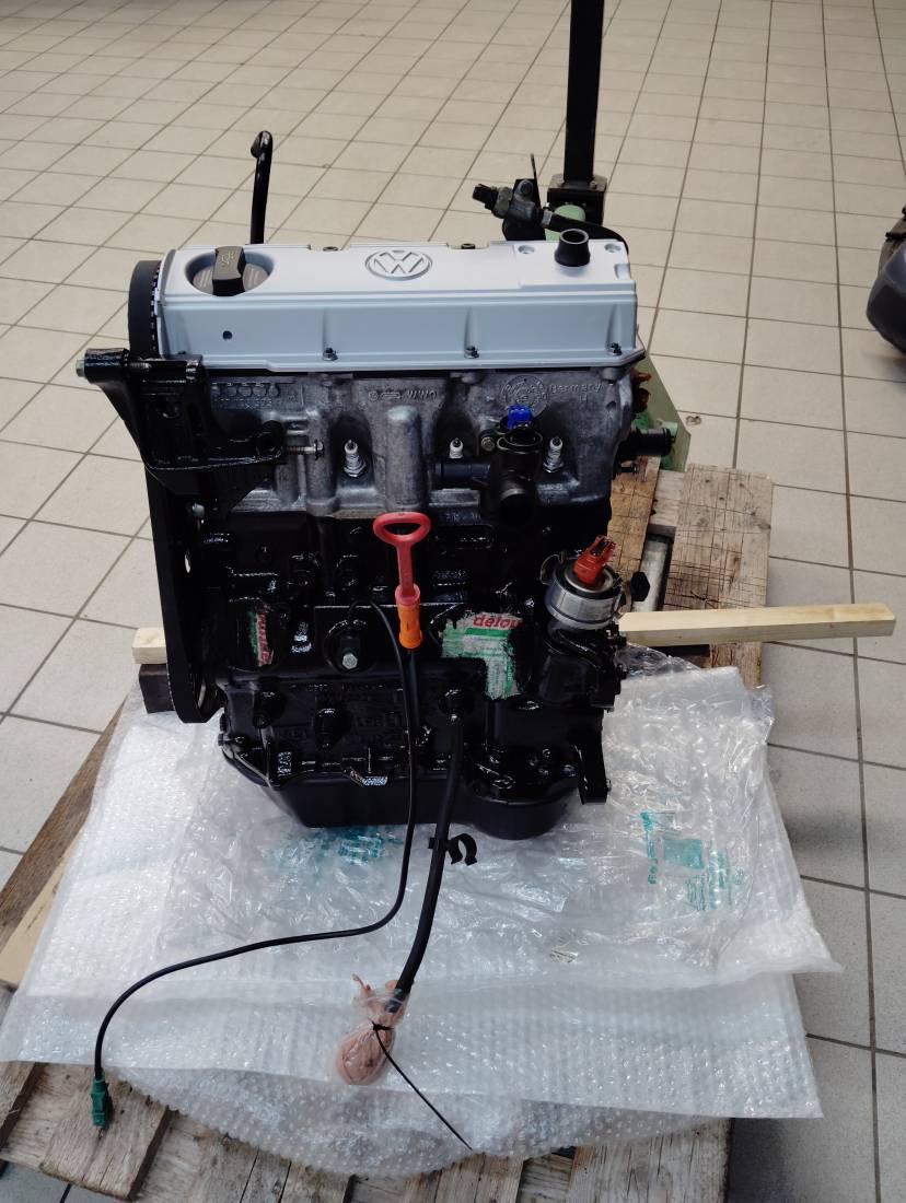 IMG_20250829_190733.jpg IMG_20250829_190733.jpg