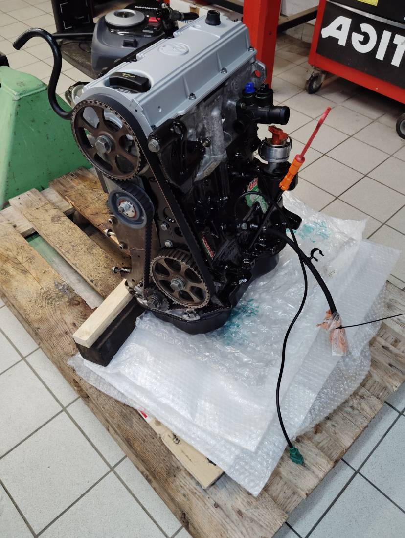 IMG_20250829_190745.jpg IMG_20250829_190745.jpg