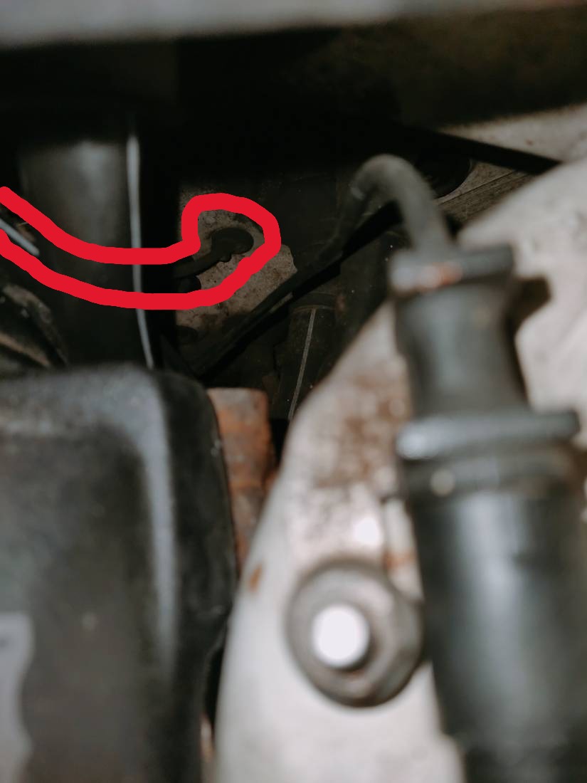 IMG20251220163825ca.jpg IMG20251220163825ca.jpg