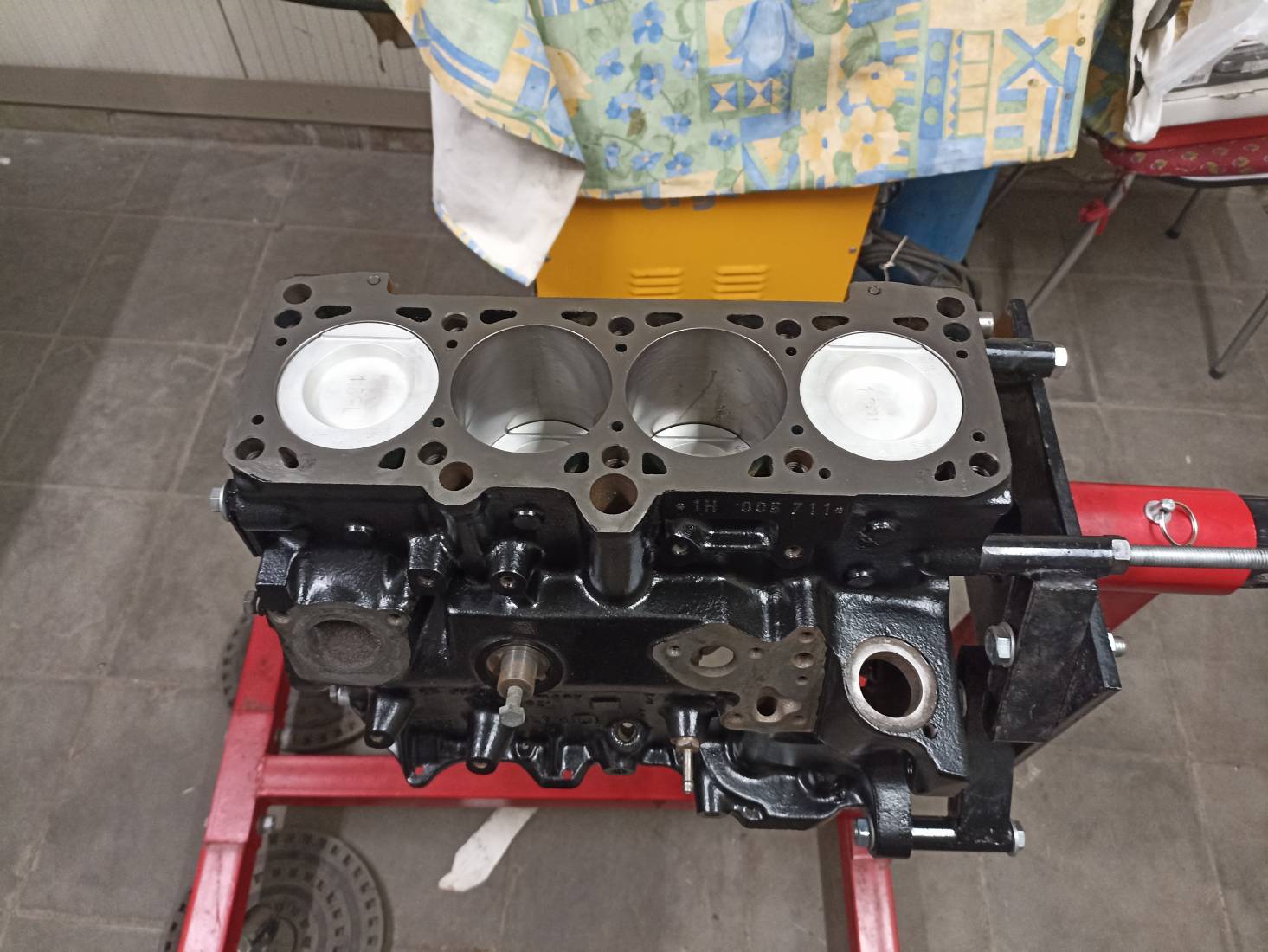 IMG_20220318_184452.jpg IMG_20220318_184452.jpg