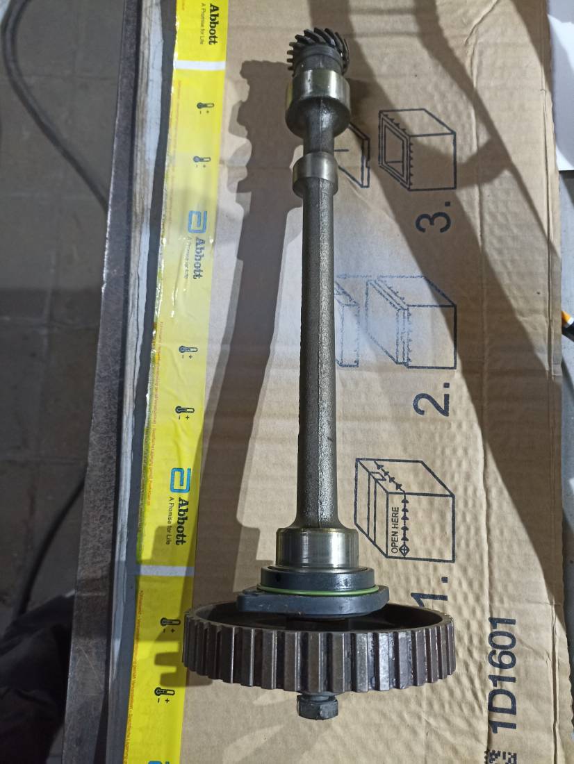 IMG_20220318_193716.jpg IMG_20220318_193716.jpg