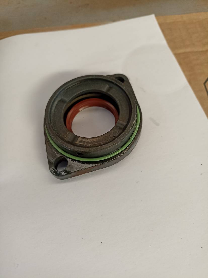 IMG_20220319_110012.jpg IMG_20220319_110012.jpg