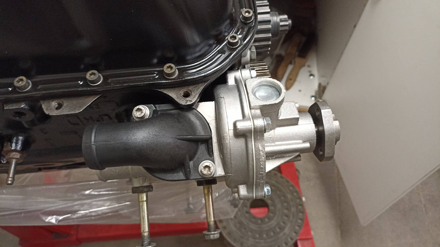 IMG_20220609_170653.jpg IMG_20220609_170653.jpg