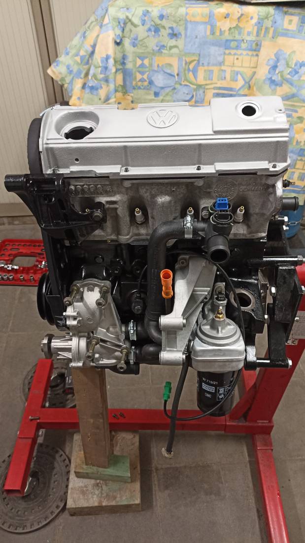 IMG_20220624_181209.jpg IMG_20220624_181209.jpg