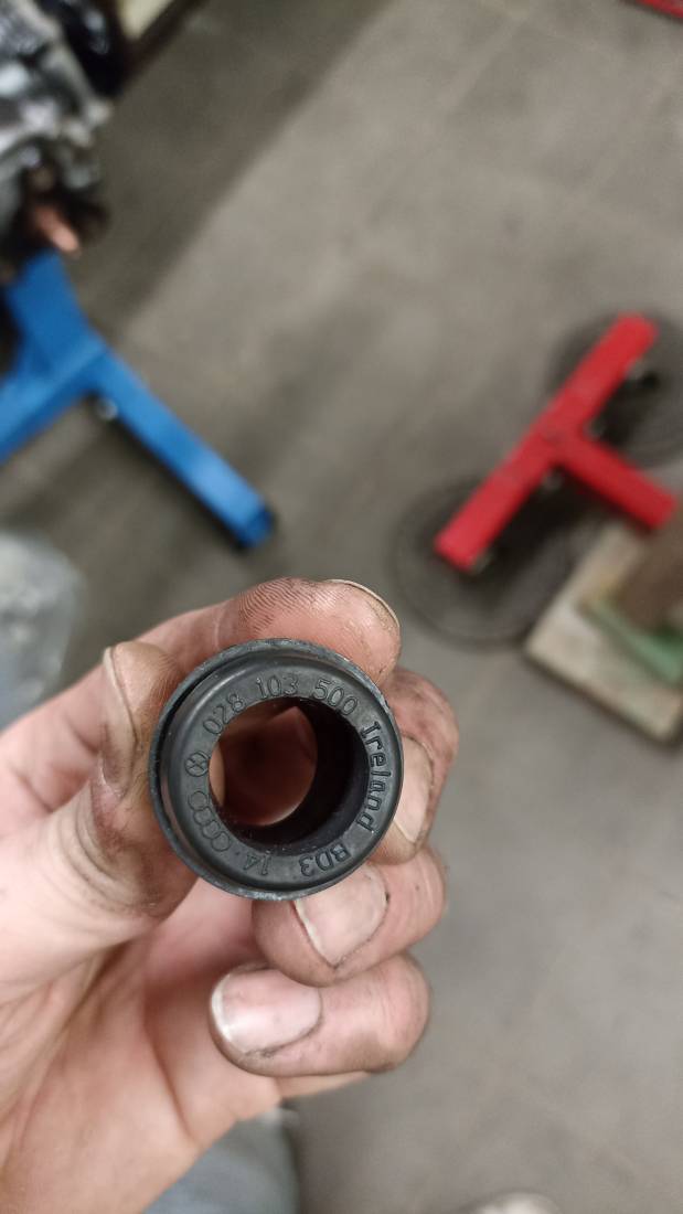 IMG_20220624_184824.jpg IMG_20220624_184824.jpg