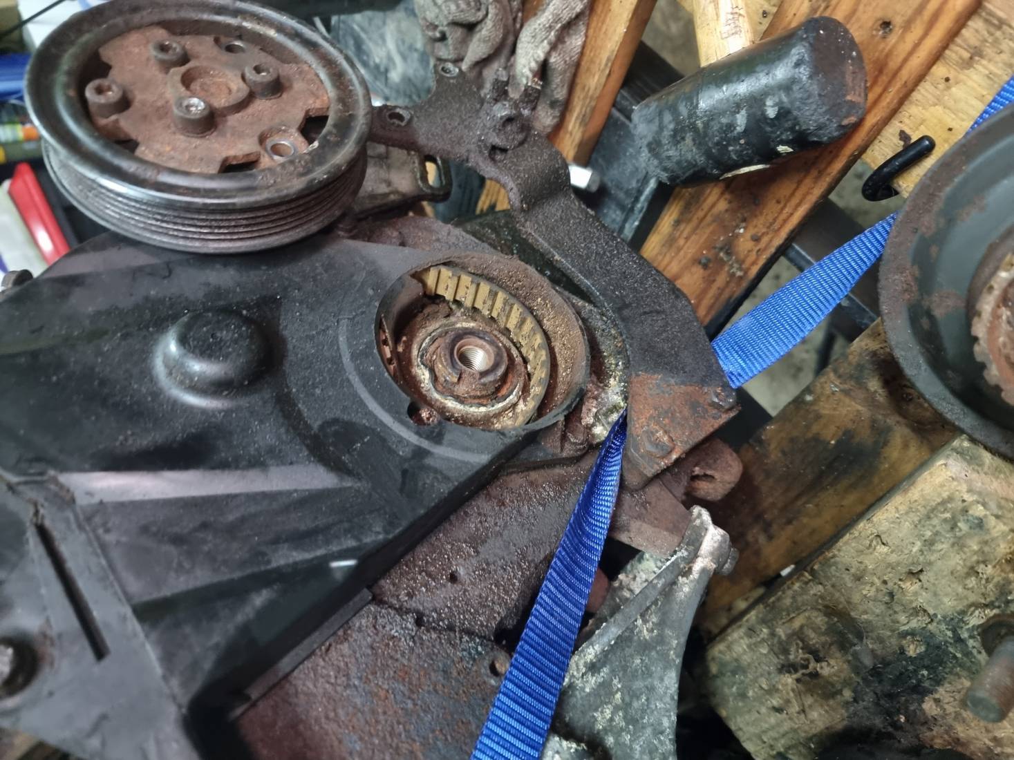 20251129_172337.jpg 20251129_172337.jpg