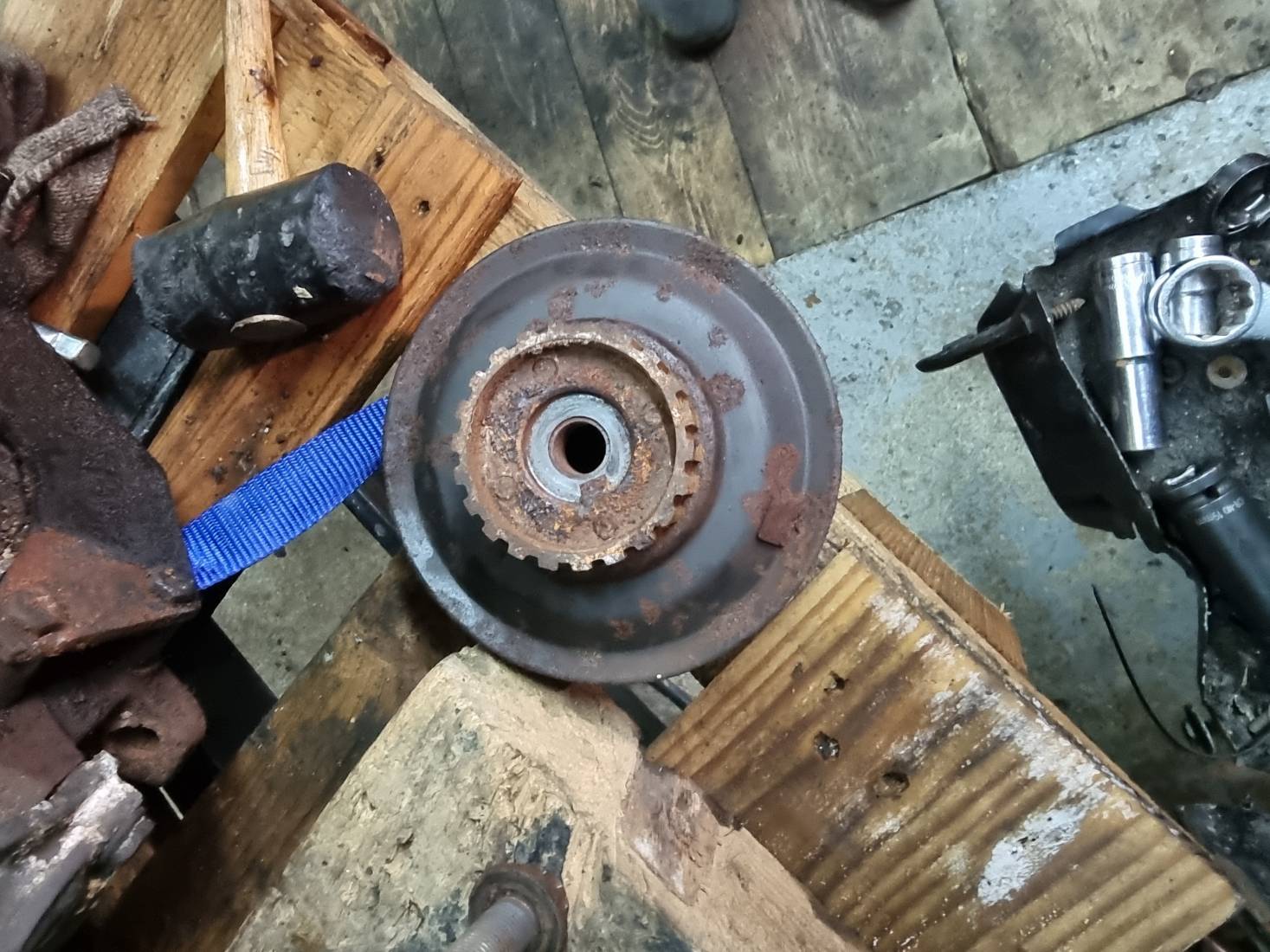 20251129_172340.jpg 20251129_172340.jpg